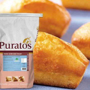 TEGRAL SATIN CAKE YOGURT KG 14